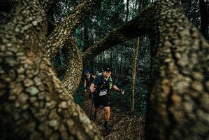 BIB: 
                            <button type="button" onclick="openModal(25674175)" class="btn btn-primary btn-sm float-right btn-popup" data-toggle="modal" data-target=".modal-high-quality">
                        <i class="fas fa-shopping-cart"></i> Add to Cart
                    </button>
                                            <button type="button" onclick="isThisMe(25674175, true)" class="btn btn-success btn-sm float-right btn-popup btn-isme hidden" data-toggle="tooltip" data-placement="bottom" title="นี่คือรูปของคุณใช่ไหม คลิกที่นี่เพื่อเอาเข้าอัลบั้ม">
                        <i class="fas fa-plus"></i> Add to album
                    </button>
                    <button type="button" onclick="isThisMe(25674175, false)" class="btn btn-warning btn-sm float-right btn-popup btn-isnotme hidden">
                        <i class="fas fa-ban"></i> Remove from album
                    </button>